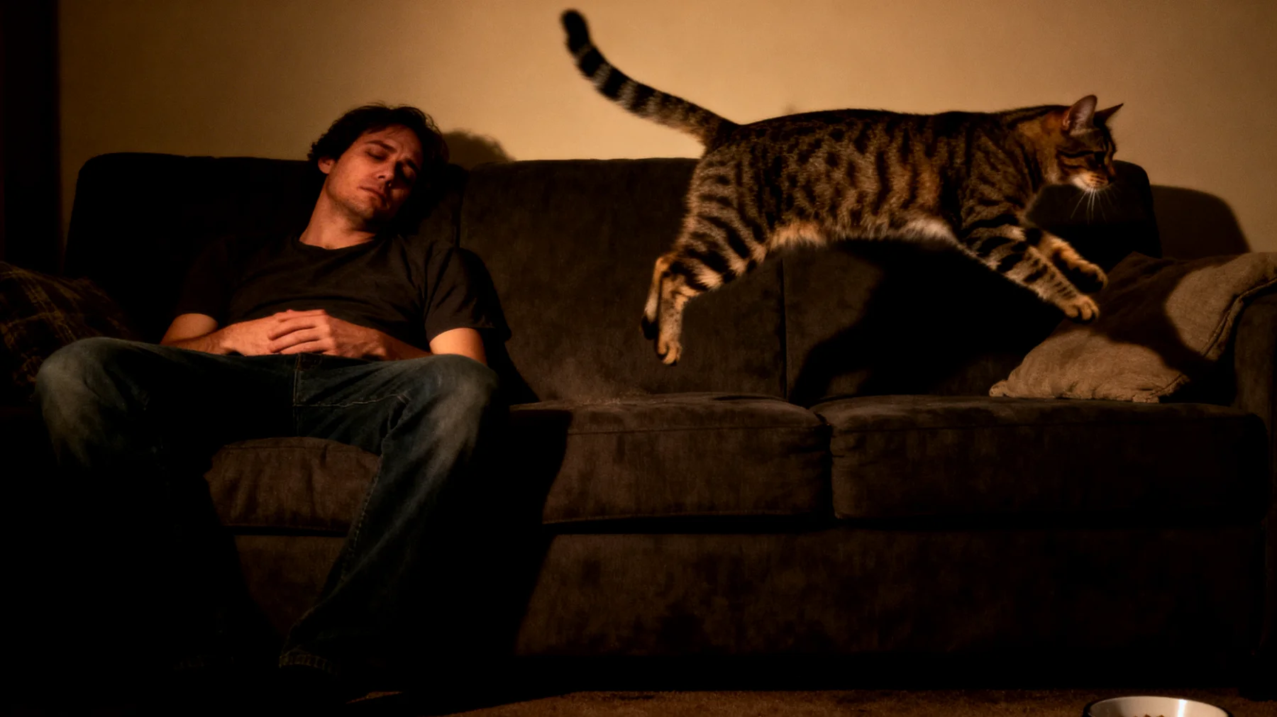 Viele erwachsene Katzen entwickeln keine feste tägliche Routine und zeigen dadurch Verhaltensauffälligkeiten wie nächtliche Hyperaktivität, unregelmäßiges Fressverhalten oder Unsauberkeit, weil ihre Besitzer keine strukturierten Rituale etabliert haben"